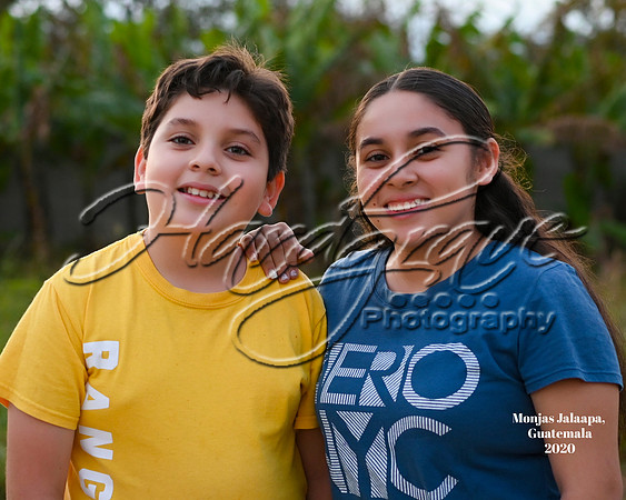 HPY_0769-133-A