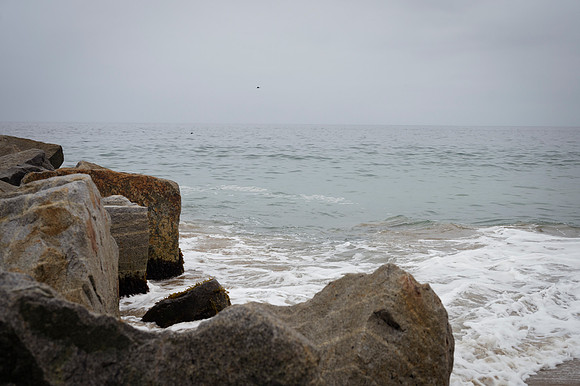 Viña del Mar 20240126 176