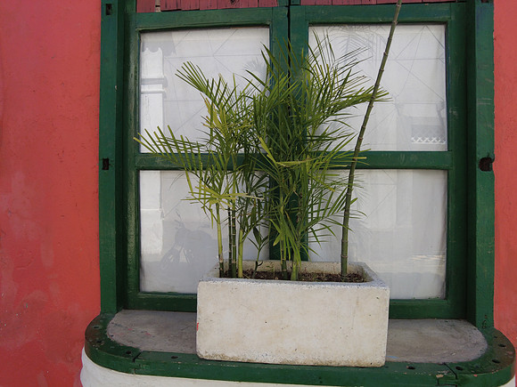 Cartagena 20230729 2501