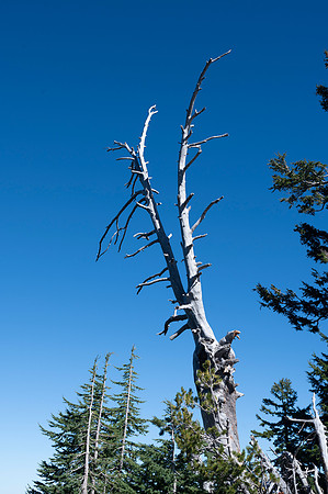 Crater Lake 20231004 242
