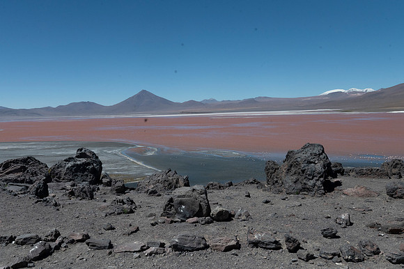 Eduardo Avaroa National Reserve 20230221 2185