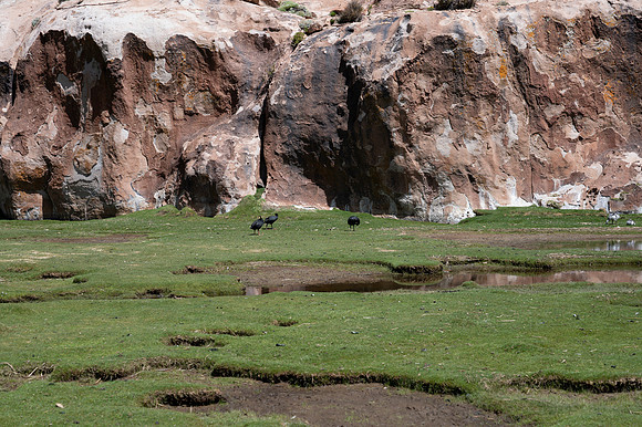 Eduardo Avaroa National Reserve 20230220 2011