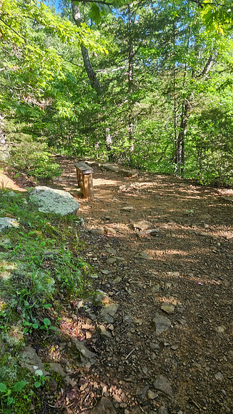 Devil's Den Yellow Rock 20250513 074