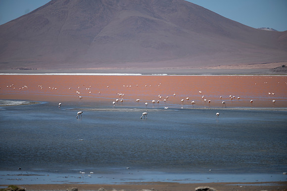 Eduardo Avaroa National Reserve 20230221 2165