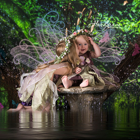 Enchanted Fairies