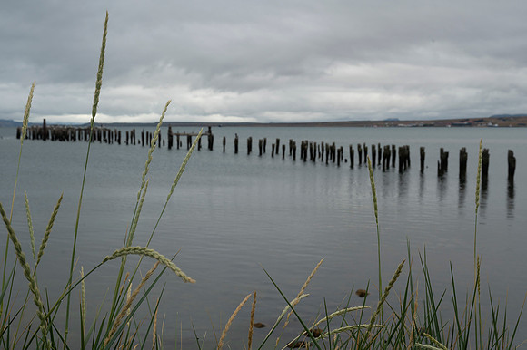 Puerta Natales 20240202 528
