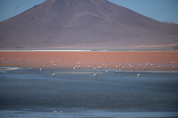 Eduardo Avaroa National Reserve 20230221 2166