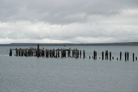 Puerta Natales 20240202 526