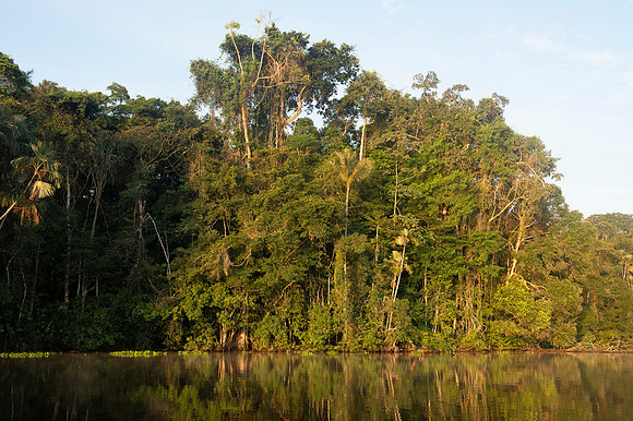 Cuyabeno Ecuador 20250119 154