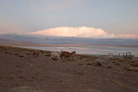 Eduardo Avaroa National Reserve 20230220 1952