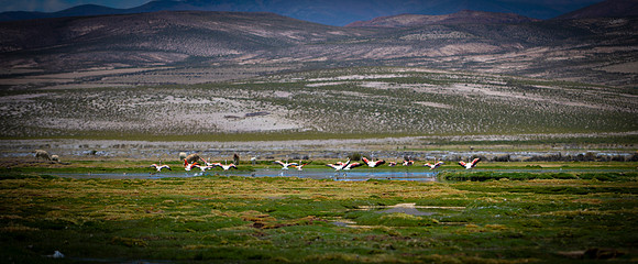 Eduardo Avaroa National Reserve 20230220 2042