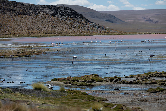 Eduardo Avaroa National Reserve 20230221 2158