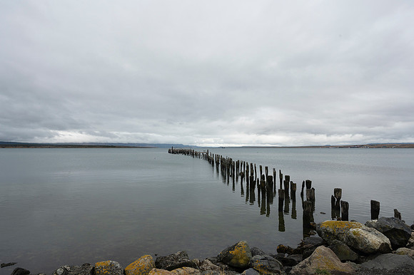 Puerta Natales 20240202 532