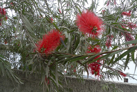 P1020786