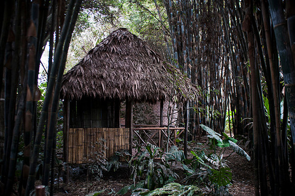 Zoo Lima0210