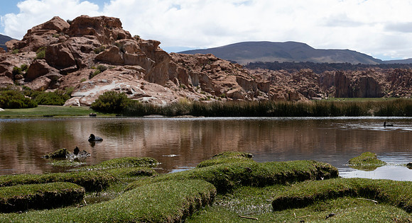 Eduardo Avaroa National Reserve 20230220 2014