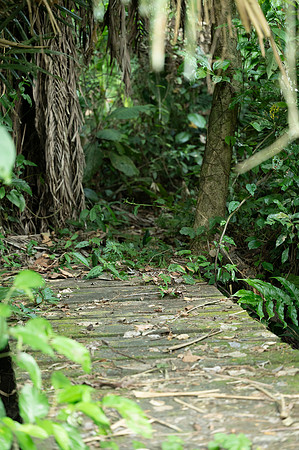 Cuyabeno Ecuador 20250122 850