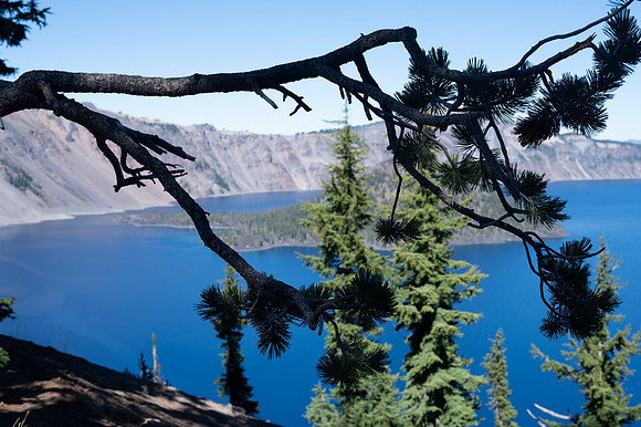 Crater Lake 20231004 228
