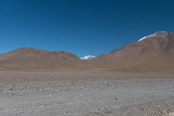 Eduardo Avaroa National Reserve 20230221 2186