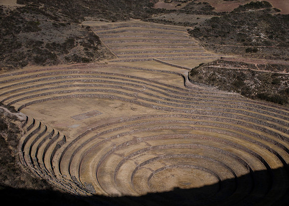 Moray 0393