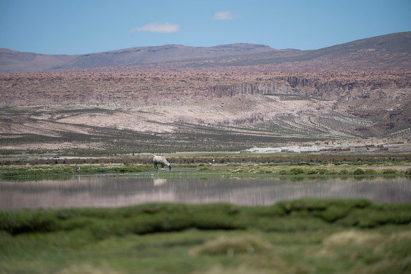 Eduardo Avaroa National Reserve 20230220 2043