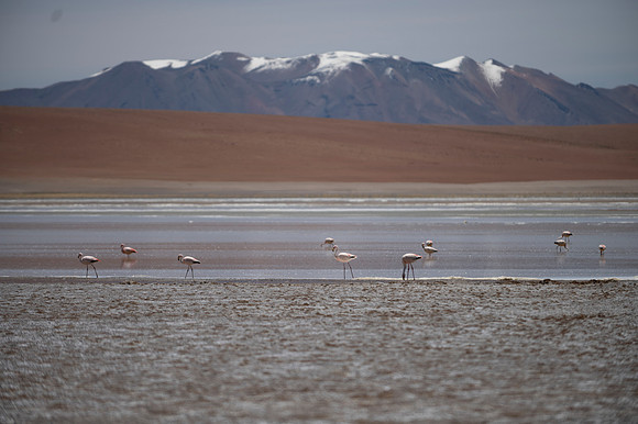Eduardo Avaroa National Reserve 20230221 2132
