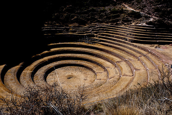 Moray 0417