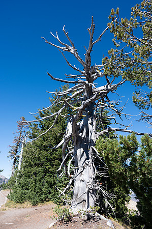Crater Lake 20231004 222
