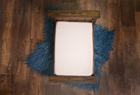 AHMStudio BlueRugBedFromAbove