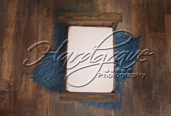 AHMStudio BlueRugBedFromAbove