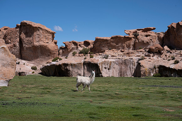 Eduardo Avaroa National Reserve 20230220 1998