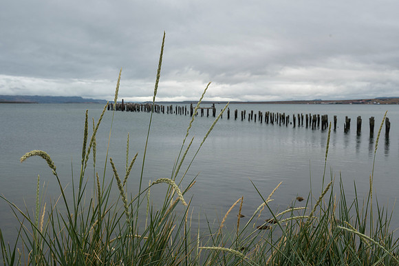 Puerta Natales 20240202 529