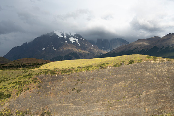 Torres de Paine 20240130 326