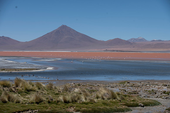 Eduardo Avaroa National Reserve 20230221 2162