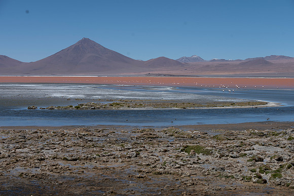 Eduardo Avaroa National Reserve 20230221 2161