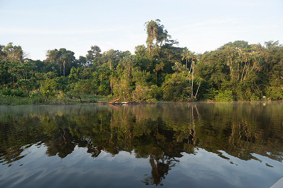 Cuyabeno Ecuador 20250119 151