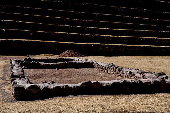 Moray 0421