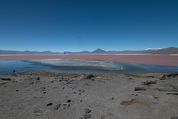 Eduardo Avaroa National Reserve 20230221 2183