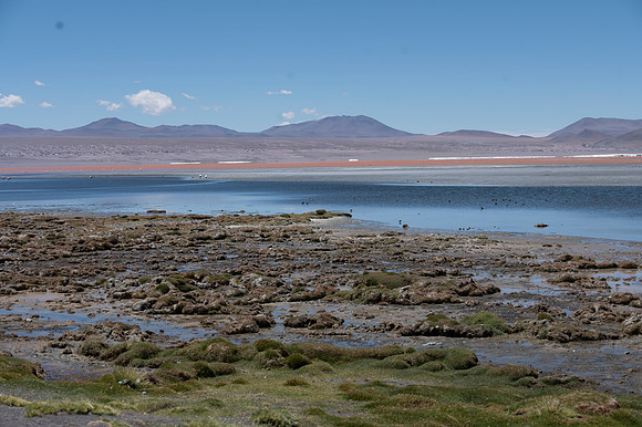 Eduardo Avaroa National Reserve 20230221 2160