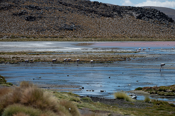 Eduardo Avaroa National Reserve 20230221 2159