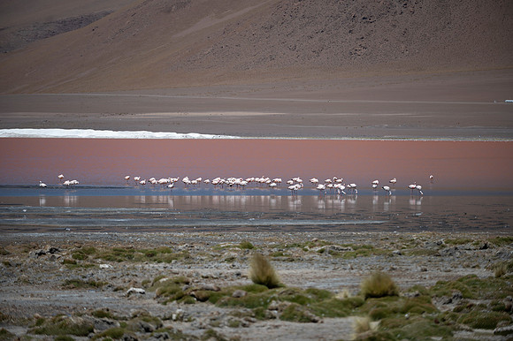 Eduardo Avaroa National Reserve 20230221 2175