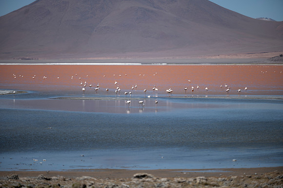 Eduardo Avaroa National Reserve 20230221 2171
