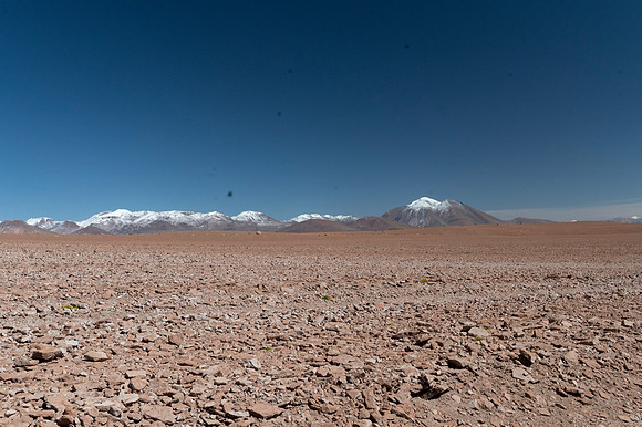 Eduardo Avaroa National Reserve 20230221 2188