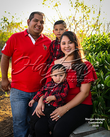 HPY_0705-125-A