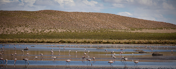 Eduardo Avaroa National Reserve 20230220 1978