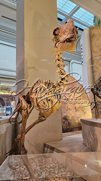 Washington DC 20250303 476
