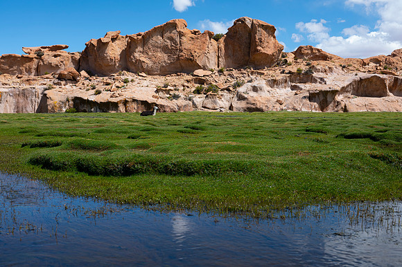 Eduardo Avaroa National Reserve 20230220 2004