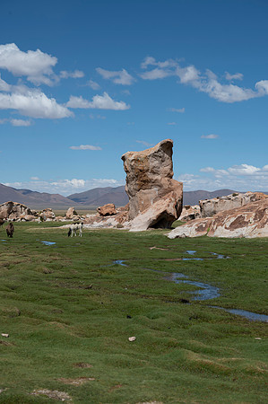Eduardo Avaroa National Reserve 20230220 1996
