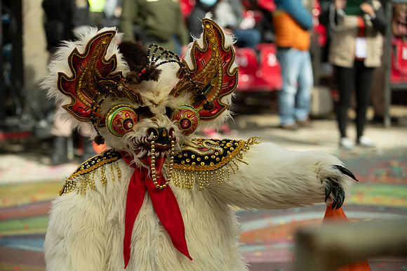 Oruro Carnaval 20230218 0083