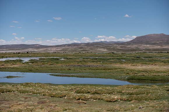 Eduardo Avaroa National Reserve 20230220 2045